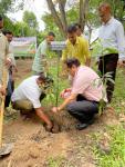 Tree Sapling plantation on World Enviroment Day by the Joint Secretary of HTS Deptt.