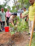 Tree Sapling plantation on World Enviroment Day by the Director of Sericulture